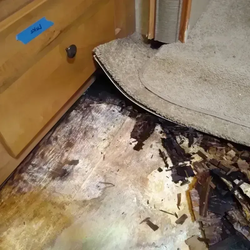 Best Wood Floor Water Damage Service in Owego, NY